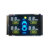 Custom LCD Display Segment GY5774V