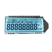 Custom LCD Display Segment GY6303